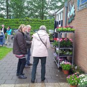 't Is weer plantjesmarkt